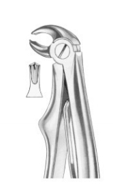  KLEIN (Fig. 222) lower molars 